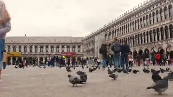 29-04-2019 ITÁLIA, VENICE: Uma praça perto da Catedral de São Marcos, Veneza, Itália . — Vídeo de Stock