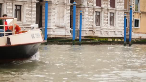 29-04-2019 ITÁLIA, VENICE: Excursões pelos canais de água no barco — Vídeo de Stock