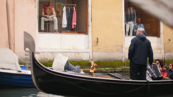 29-04-2019 Італія, Венеція: людина керівництво людей на човні по водному каналу у Венеції. Інший чоловік грає акордеон — стокове відео