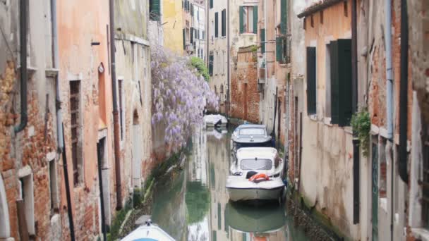 Un canale d'acqua sulle strade di Venezia. Una barca e lilla — Video Stock