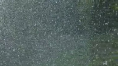 Doğada sık sık su damlaları. Bir yağmur