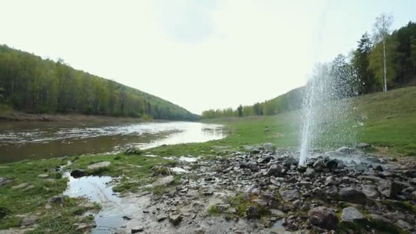 Une fontaine souterraine au milieu de la forêt — Video