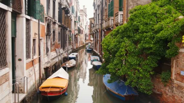 Водный канал на улицах Венеции. Швартованные катера — стоковое видео