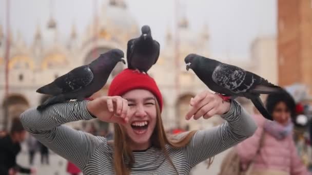 Pombos sentam-se em uma jovem sorridente e comem pão — Vídeo de Stock