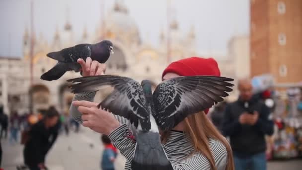 Een duif zit op de hand van een jonge vrouw. En pikken op haar brood en een andere duif vliegen en stoel op haar hand. — Stockvideo