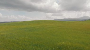 Yeşil taze bir çayır. Sahada birkaç yerleşim binası var. Selvi ağaçları. İtalya, Toskana.
