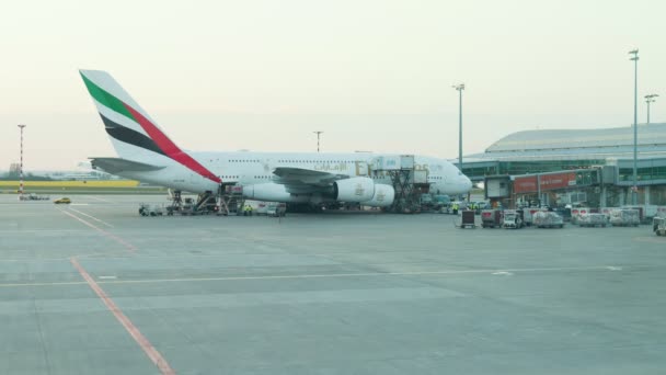2019年4月30日，捷克布拉格：瓦茨拉夫哈维尔机场 - 阿联酋航空 - 工人从飞机上取货。延时 — 图库视频影像