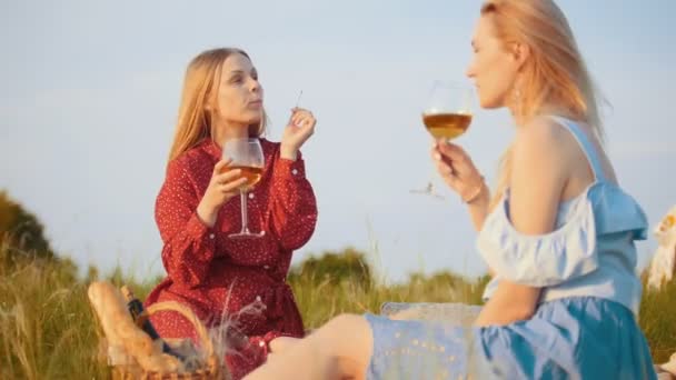Zwei schöne Frauen, die auf dem Feld sitzen und ein Picknick machen - Wein trinken — Stockvideo