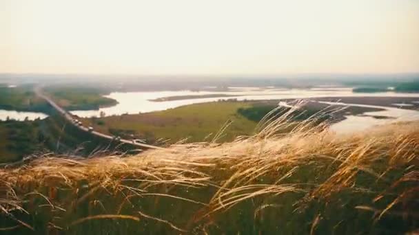 Pohled na letní trávu na Sunset-Meadow-krajina — Stock video