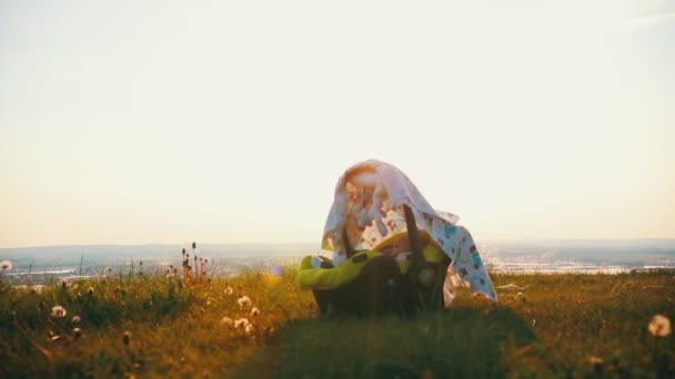 De baby is liggend in een kinderzitje in een zomer veld. — Stockvideo