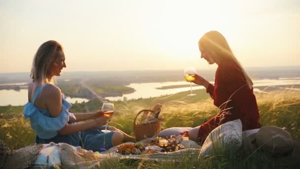 Leszbikus pár volt egy piknik. Beszéltek és bort isznak — Stock videók