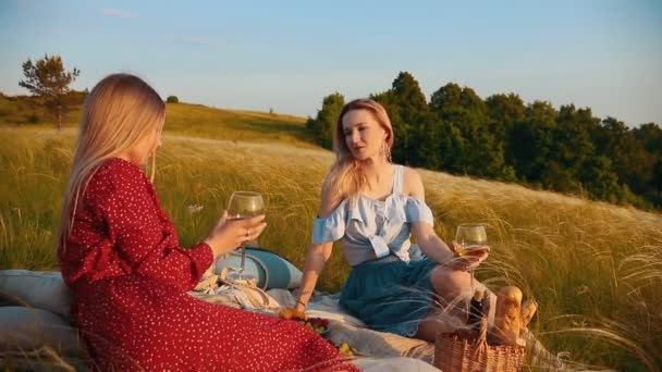 La coppia lesbica ha fatto un picnic. Parlano e mangiano frutta — Video Stock