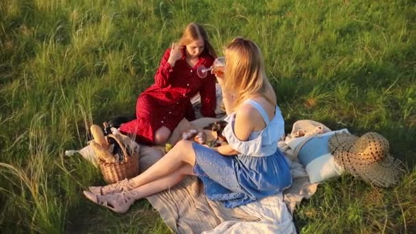 Dos lesbianas atractivas tienen un picnic. Hablan y sonríen — Vídeos de Stock