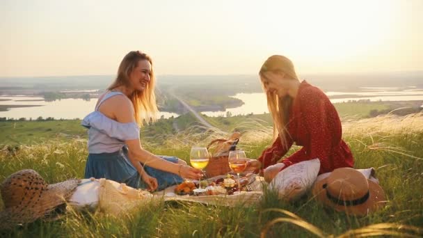 女性のゲイ夫婦はピクニックをした。ワインを飲みながら話をする。 — ストック動画