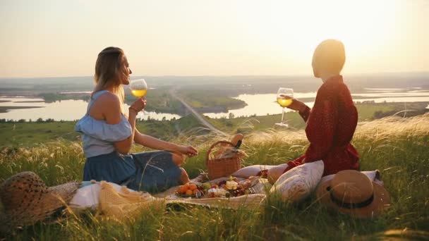 Kvinnliga homosexuella par hava en picknick. De dricker vin och pratar på bakgrunden av bron över floden. — Stockvideo