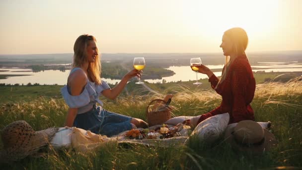 Dos mujeres jóvenes hacen un picnic. Tocan vasos y hablan. — Vídeos de Stock
