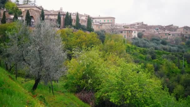 Città in montagna. Vista sul verde paesaggio estivo — Video Stock