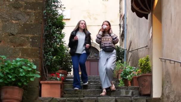 Две молодые женщины ходят по аллее — стоковое видео