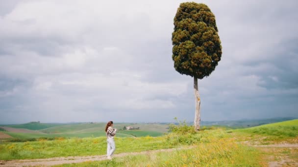 Una giovane donna si trova vicino a un grande albero e scatta foto . — Video Stock