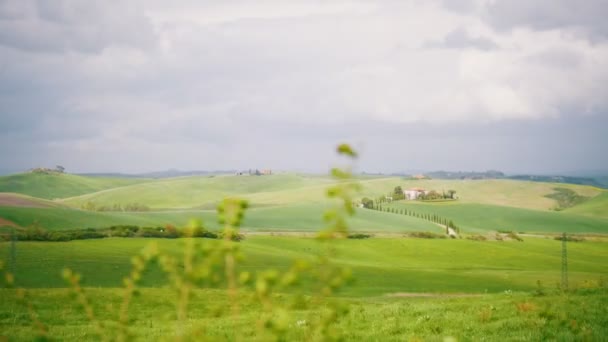 Widok na zielone pole-włoski krajobraz z wiosennym łąką — Wideo stockowe