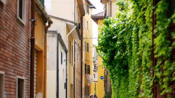 Two women walk between the buildings - the camera goes down smoothly — Stock Video