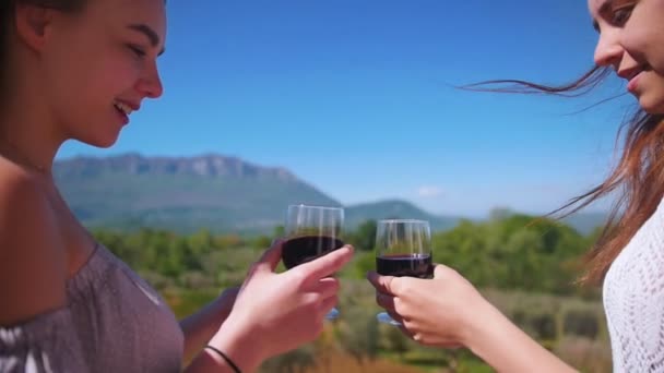 Zwei junge Frauen, die auf dem Balkon stehen und Rotwein trinken - Prost - Blick auf Berge und Wald — Stockvideo