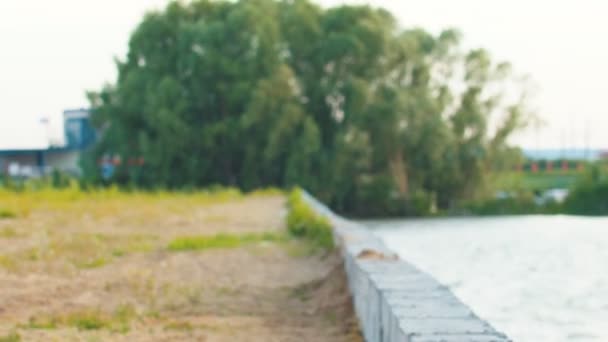 Pareja deportiva corre a lo largo de una cornisa de hormigón a lo largo del terraplén hacia el bosque verde — Vídeos de Stock