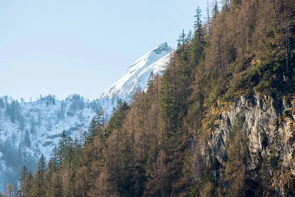 Dolomiți natura. O priveliște spre munte și pădure — Fotografie, imagine de stoc