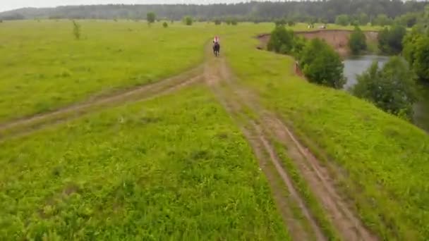 Ett landskap av en ljus grön äng-en person som rider en häst — Stockvideo