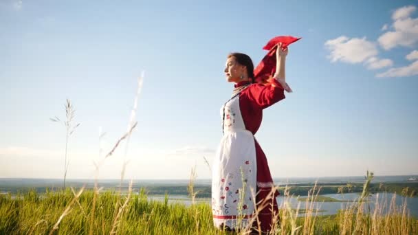 Μια νεαρή γυναίκα με ρωσικά παραδοσιακά ρούχα στέκεται στο χωράφι-μαντήλι φτερουγίζει από τον άνεμο — Αρχείο Βίντεο