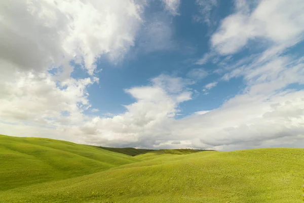 Een enorme groene zomer veld met heuvels. Luchtfoto hemel landschap — Stockfoto