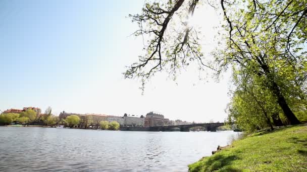 Fiume nel centro della città, vista dal campo verde — Video Stock