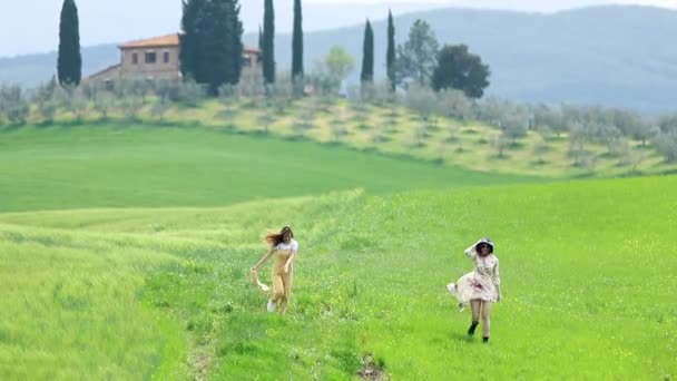 Dos mujeres jóvenes con panamas corriendo en el campo verde y bailando — Vídeos de Stock