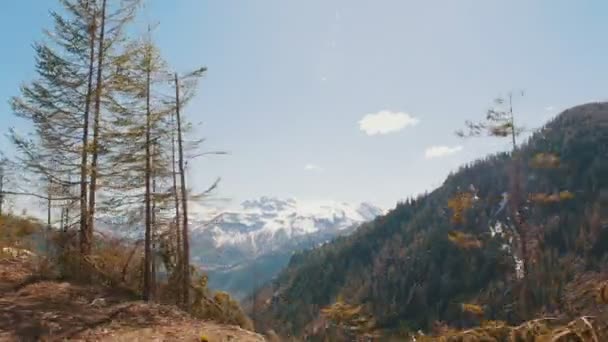Uma paisagem de montanhas, colinas e florestas - vista da janela do carro - Dolomiti, Itália — Vídeo de Stock