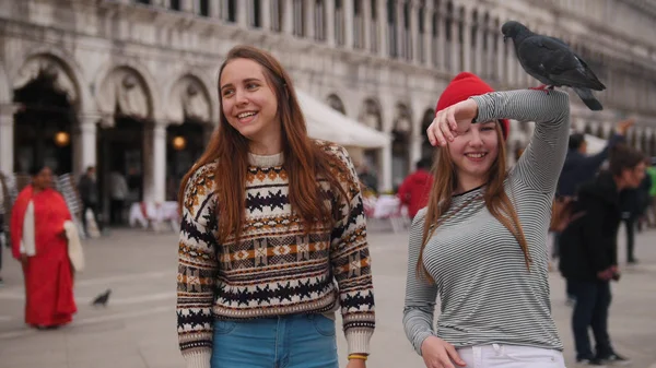 Dos jóvenes alimentan a las palomas de sus manos en la plaza de Venecia . —  Fotos de Stock