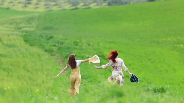 Twee jonge vrouwen met Panama lopen en plezier hebben in het midden van een groen veld — Stockvideo