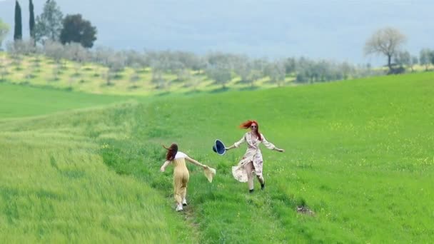 Dos mujeres jóvenes con panamas están caminando en el campo verde — Vídeos de Stock