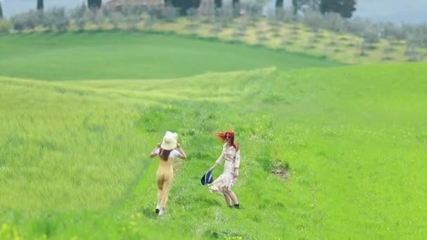Dos mujeres jóvenes con panamas caminando en el campo verde y abrazándose — Vídeos de Stock