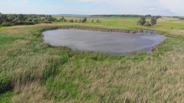 Uma paisagem de campo verde brilhante e uma pequena lagoa — Vídeo de Stock