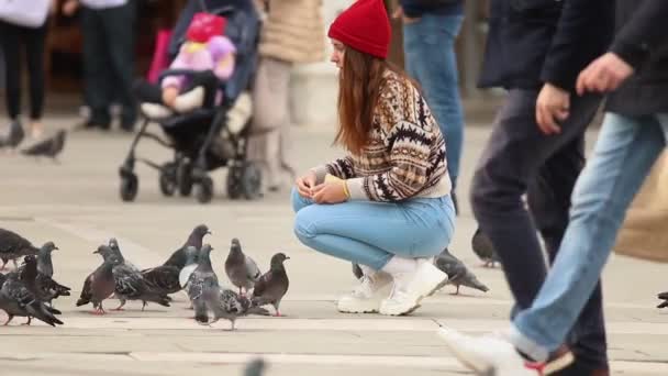 Молодая привлекательная женщина кормит голубей на корточках - в центре городской площади — стоковое видео