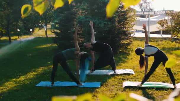 Fiatal emberek jóga a parkban-hajlító oldalra — Stock videók