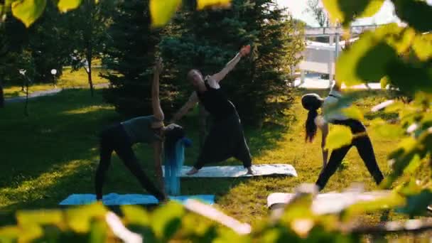 Young people doing yoga in the park — Stock Video