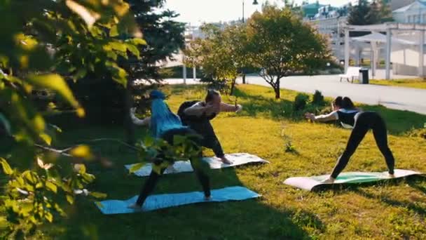 Dos jóvenes haciendo yoga en el parque con su instructora — Vídeo de stock