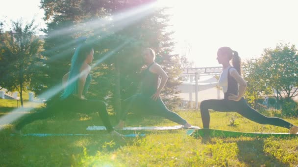 Dos mujeres jóvenes haciendo ejercicio en el parque con su instructor realizando ejercicios en las piernas — Vídeos de Stock