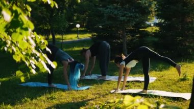 İki genç kadın eğitmenleri ile parkta yoga yapıyor - yere eğilerek