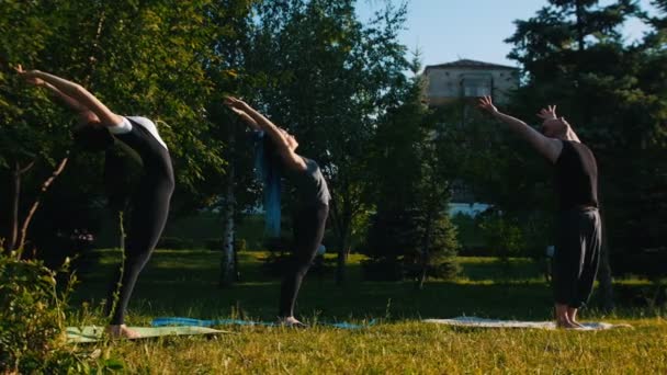 Zwei junge Frauen beim Fitnesstraining im Park mit ihrem Trainer bei strahlendem Sonnenschein - sie machen Übungen auf der Wirbelsäule - heben die Hände, springen und laugen auf den Bauch — Stockvideo