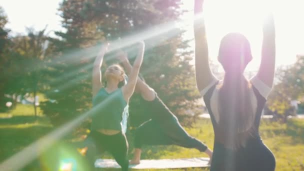 Дві молоді жінки займаються фітнесом в парку зі своїм тренером в яскравий сонячний день - виконують вправи на ногах, хребті і розтягуванні - піднімають руки вгору — стокове відео
