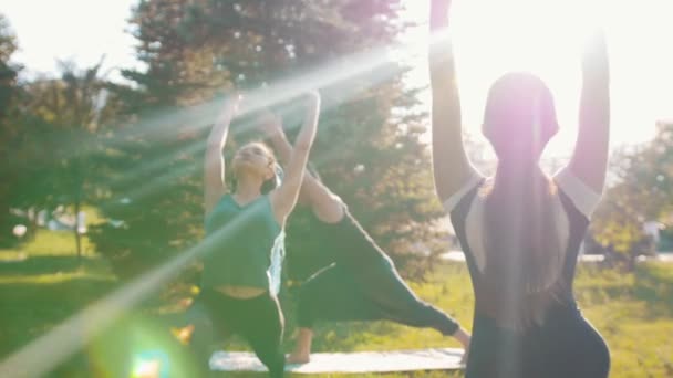 Dos mujeres jóvenes que hacen ejercicio en el parque con su entrenador en un día soleado brillante - realizando ejercicios en las piernas, la columna vertebral y estiramiento - levantan las manos — Vídeo de stock