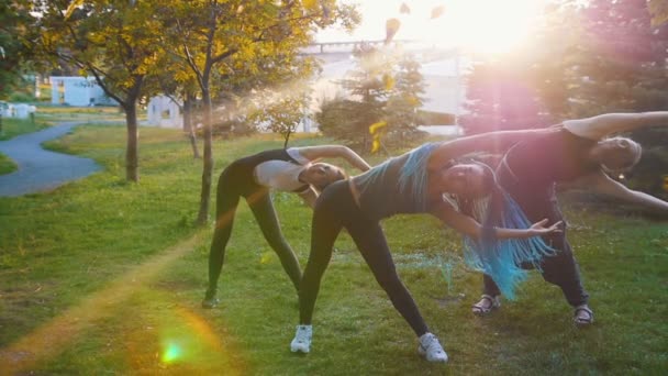 Две молодые женщины занимаются йогой с инструктором в парке на солнце - одна женщина имеет длинные синие дреды — стоковое видео
