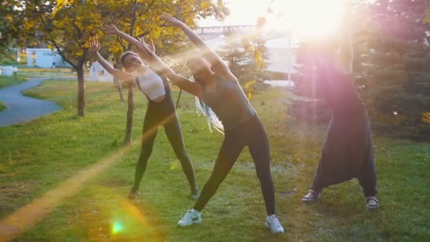 Twee jonge vrouwen doen yoga oefeningen met instructeur in het Park in het zonlicht-een vrouw heeft lange blauwe dreadlocks — Stockvideo